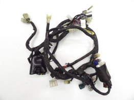 Kabelbaum Yamaha FZ6