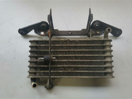 Oliekoeler Aprilia RSV 1000