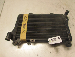 Kuhler Kawasaki GPX 750