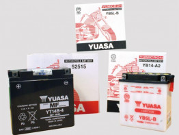 Accu Yamaha YZF R6