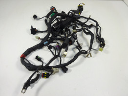 Kabelboom Ducati monster 796