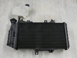 Radiator BMW F 800 S - ST