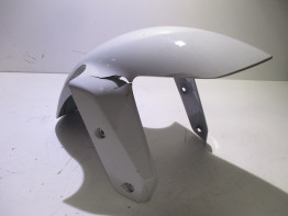 Front fender BMW R 1250 RS