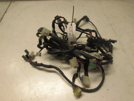 Wire Harness Kawasaki GPX 600