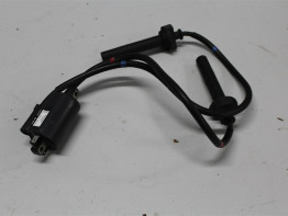 Zundspule Yamaha FJR 1300