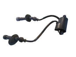 Bobine Suzuki GSF 600 650 Bandit 