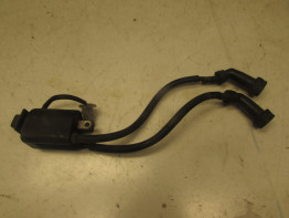 Zundspule Yamaha FJ 1200