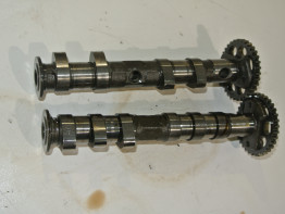 Nokkenas Yamaha TDM
