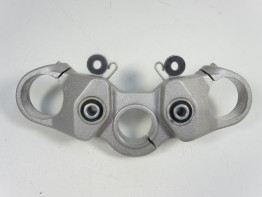 Kroonplaat Ducati monster 696