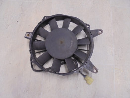 Fan Triumph Trophy 1200