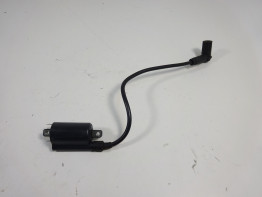 Bobine Ducati monster 600