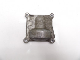 Engine cover Yamaha FJR 1300