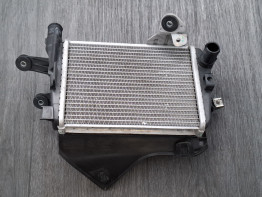 Radiateur BMW R 1250 GS Adventure