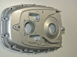 Engine cover BMW R 1200 GS