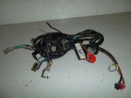 Kabelboom Honda Lead