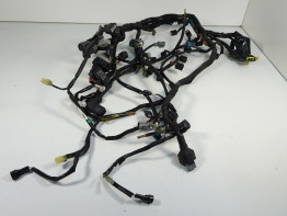 Wire Harness Kawasaki VERSYS 1000