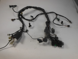 Kabelboom Aprilia Caponord 1000