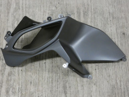 Linker zijkuip BMW R 1250 RT