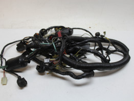Wire Harness Kawasaki ZXR 750