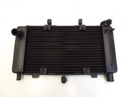 Radiator Yamaha FZ6