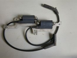 Bobine Aprilia RSV 1000