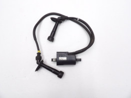 Bobine Suzuki GSX F 600