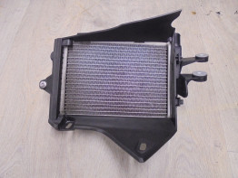 Radiator BMW R 1250 GS
