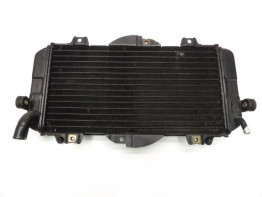 Radiator Yamaha FZR 600