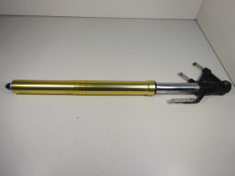 Front Fork left complete Triumph Tiger 1050