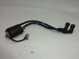 Bobine Yamaha FJ 1100