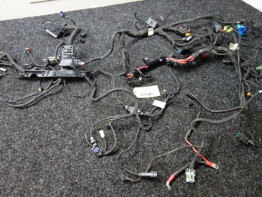 Kabelboom Harley Davidson Pan America