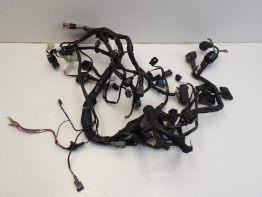 Wire Harness Kawasaki 650 Vulcan S