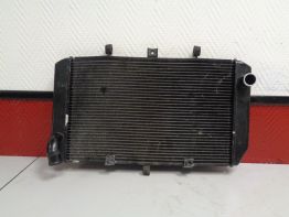 Kuhler Kawasaki Z 750