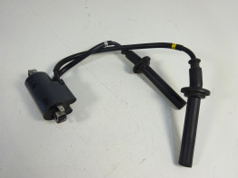 Bobine Yamaha FAZER 1000