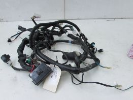 Kabelbaum Kymco XCITING 500I