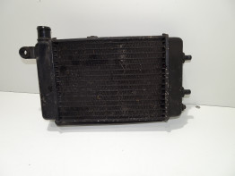 Kuhler Aprilia Tuono 1000