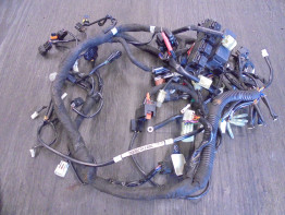 Wire Harness KTM 690 SMC-R