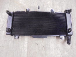 Kuhler Kawasaki Z 650