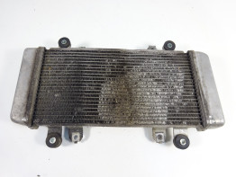 Radiateur Kawasaki Ninja 300