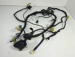 Kabelboom Yamaha FZ6