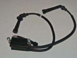 Bobine Suzuki SFV 650 Gladius