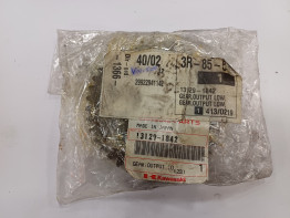 Kettenrad Kawasaki VN 1500