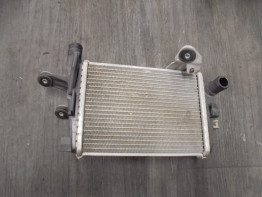 Radiateur BMW R 1200 GS LC Adventure