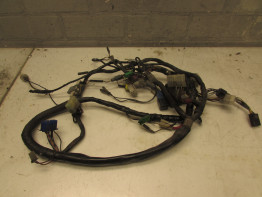 Wire Harness Yamaha FJ 1200