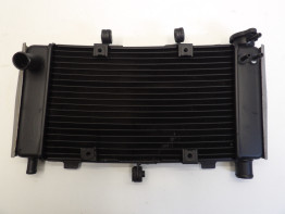 Radiateur Yamaha FZ6