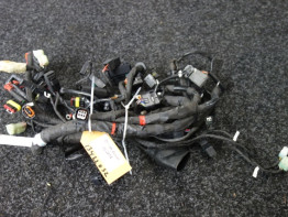 Kabelboom Ducati Diavel