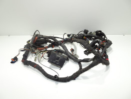 Kabelboom Aprilia Tuono 1000
