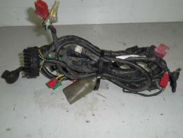 Kabelbaum Honda CBR 600 F