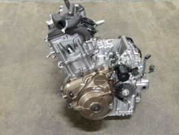 Engine Honda CRF 1100 Africa Twin