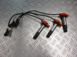 Bobine MV Agusta 800 Brutale